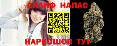 ешки Будённовск