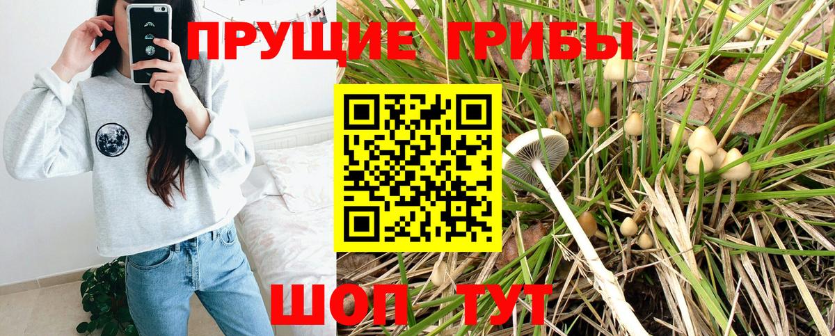 Галлюциногенные грибы Cubensis Моршанск
