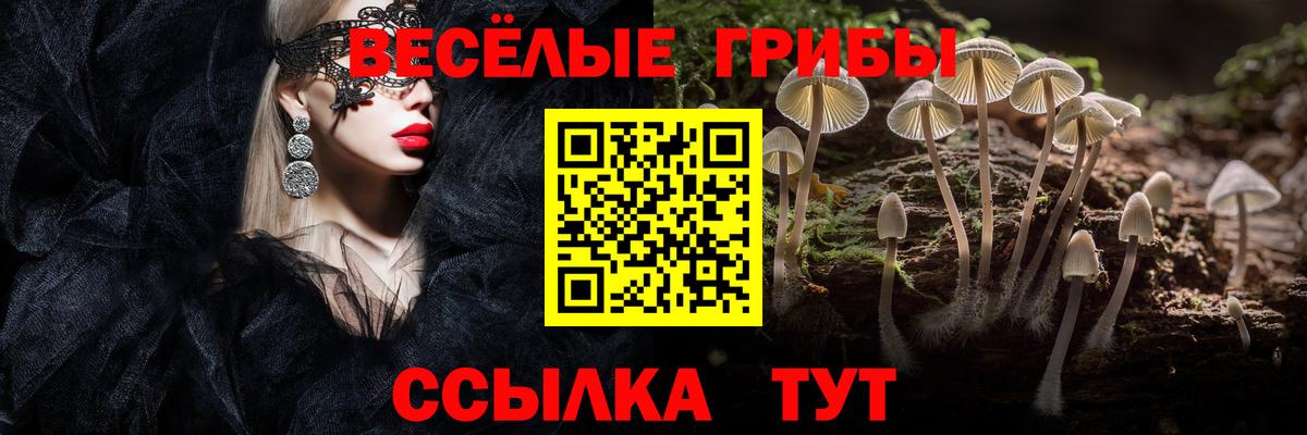 Галлюциногенные грибы ЛСД  Псилоцибиновые грибы GOLDEN TEACHER  Вход с VPN  Моршанск 